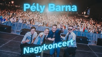 PÉLY BARNA NAGYKONCERT - (Zalaegerszegi Vadpörkölt és Borfesztivál 2025)