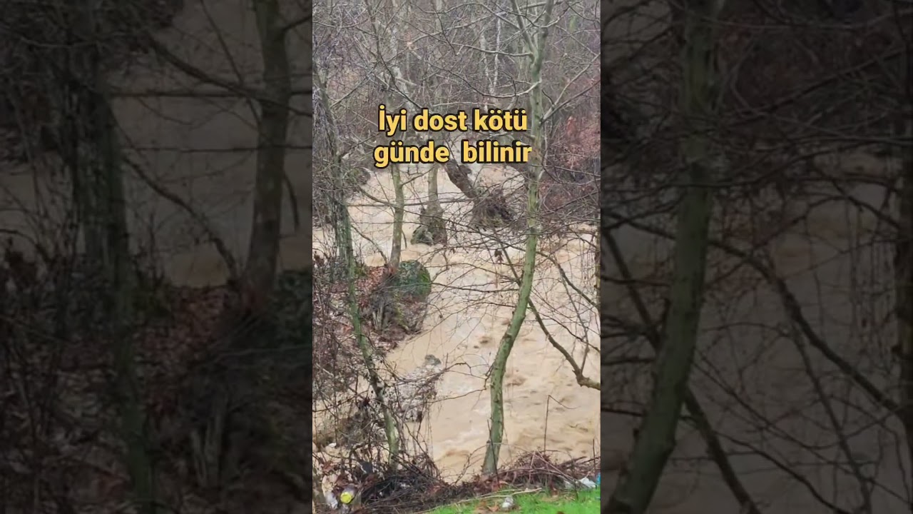 Bu yıl benim yeşil bağım kurudu 