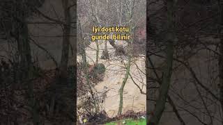 Bu Yıl Benim Yeşil Bağım Kurudu