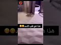 هذا هو قلب الأسد This Is The Heart Of A Lion