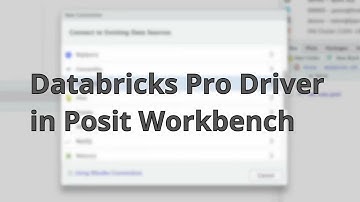 Databricks Pro Driver in Posit Workbench
