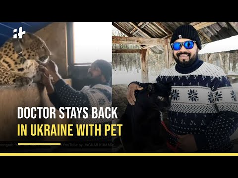 Indian Doctor Stays Back In Ukraine For His Pet Leopard And Panther