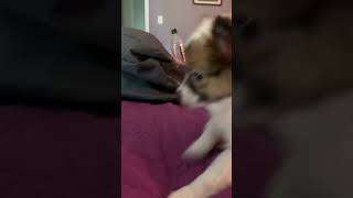 Can you please help Scarlett Get 1000 subscribers?