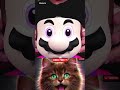 #relatable #cutecats #trendingshorts