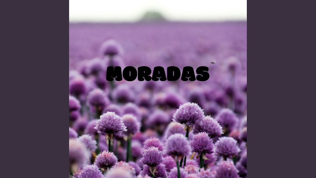 Guarda Llanto. su YouTube Guarda Llanto. su YouTube