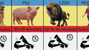 Ongelooflijke paringstijden voor dieren! | Van seconden tot uren 😱#usa