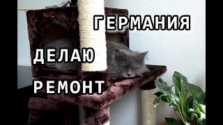 ❤МАТЬ одиночка в Германии ❤ САМА ДЕЛАЮ РЕМОНТ ❤ приколы с ЖИВОТНЫМИ ❤МАТЬ одиночка в Германии ❤ САМА ДЕЛАЮ РЕМОНТ ❤ приколы с ЖИВОТНЫМИ