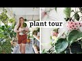 My Houseplant Collection // Tour (UPDATED) | OVER 100 PLANTS... i think