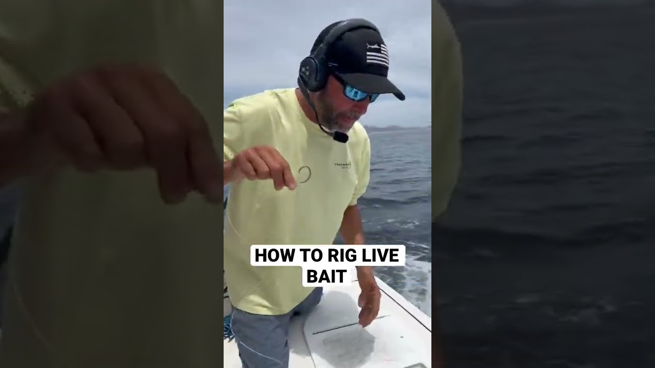 How to keep your bait swimming longer! 