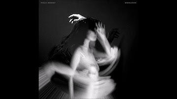 Public Memory - Trick of the Light