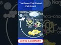 The Genes That Control Cell Growth