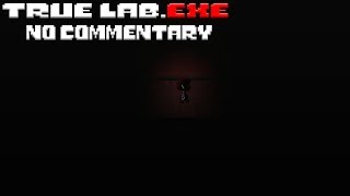 True Lab.exe - Full Gameplay - No Commentary