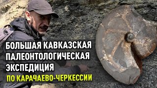 картинка: Палеонтологи в Карачаево-Черкессии. Большая экспедиция за аммонитами по Северному Кавказу