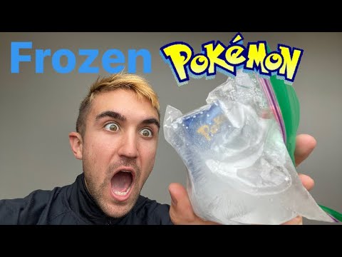 Freeze every card challenge? #Shorts - YouTube