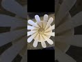 satisfying pictures part 9