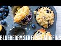 Best Blueberry Streusel Muffins | Best Muffins Recipe