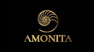 AMONITA  -  BEST OF (2022)