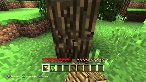 Minecraft Playstation 4 Edition Let