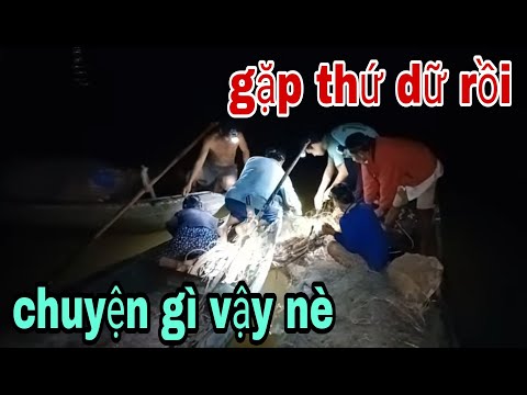 Video Ơi Trời Chuyện Gì Đang Xảy Ra Vậy Nè , Nhìn Là Nổi Gai... - youtube