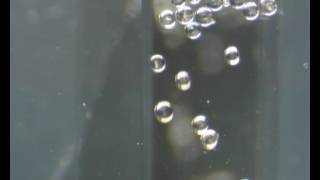 Glass Beads in a Microfluidic channel (Mov 1)
