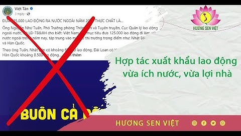 Các ngo nước ngoài hoajt đôngj như thế nào năm 2024