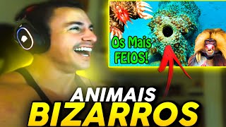 Super Xandão Reagindo Aos Bichos Mais Estranhos E Bizarros Do Mundo - Fala De Tudo
