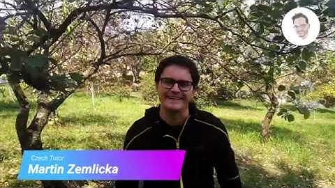 The Verb TO HAVE (mít) in Czech (Level A1) - Czech for beginners