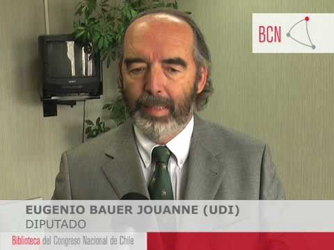 Diputado Eugenio Bauer Jouanne (UDI) sobre la Ley ...