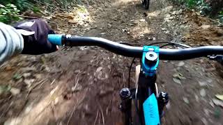 POLYGON RAYZ 3 TREK DH ENDURO