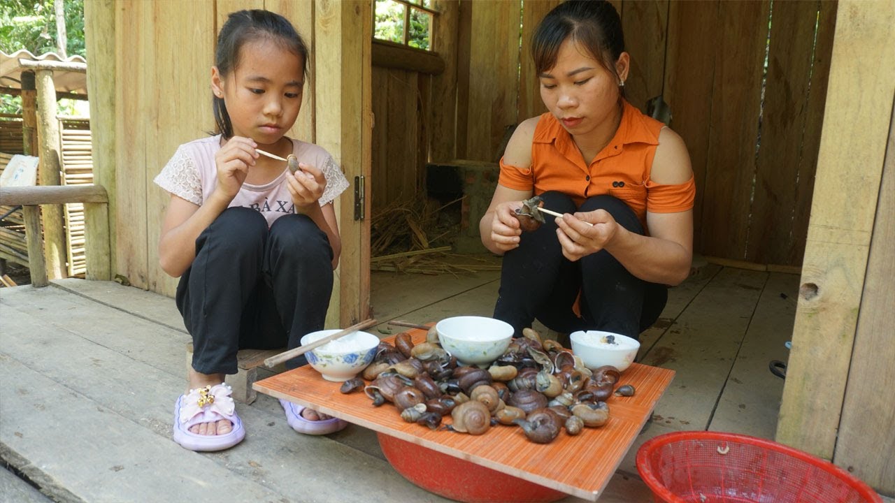 Single mother and orphan girl - Go to the forest to find snails to sell ...