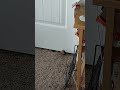 I want out...