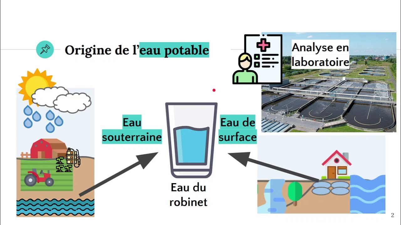 Analyse d'un échantillon d'eau