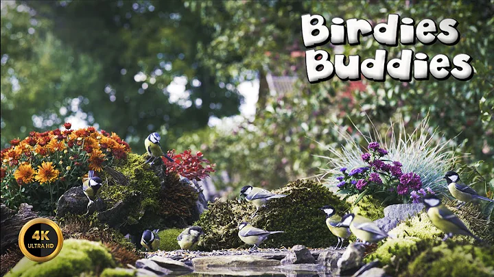 Video 11046561: forest, cat pets love, petted enjoying