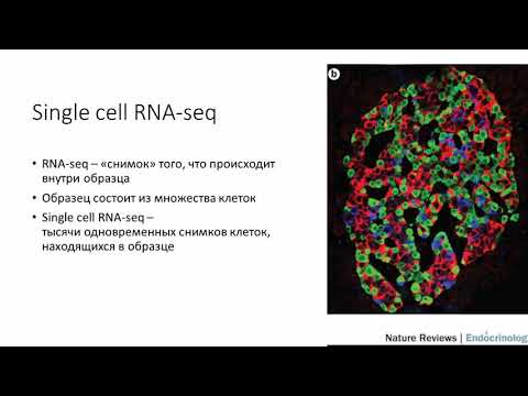 Video: Analytisk Teologi - Alternativ Vy