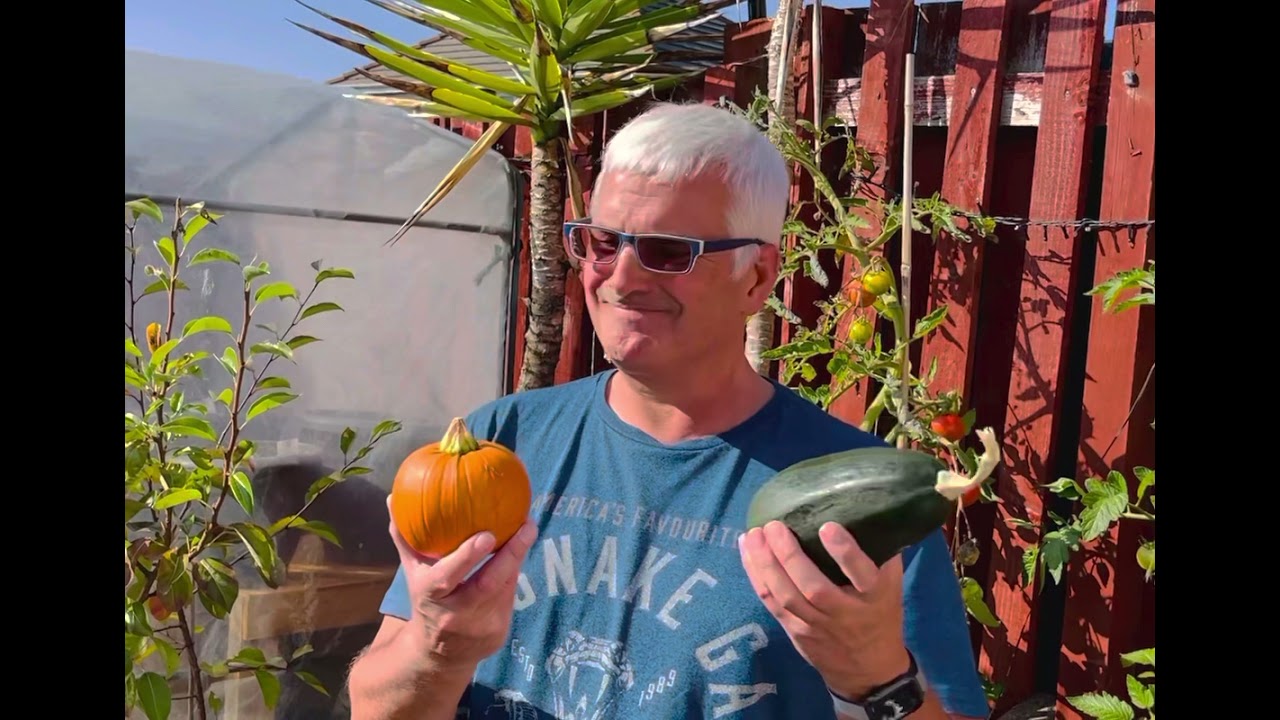 Pumpkin or Marrow ? That is the question.