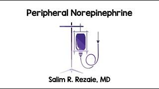 Peripheral Norepinephrine