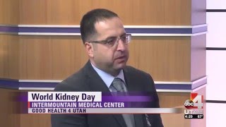 Understanding And Caring For Your Kidneys