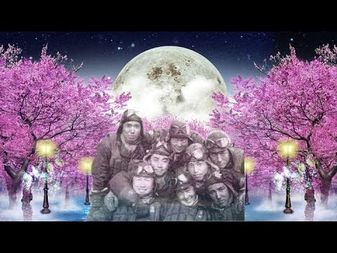 桜雪　太平洋戦争