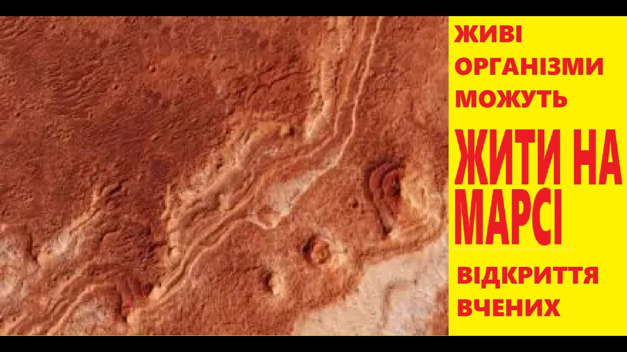 життя на марсі можливе вчені знайшли відповідь дріжджі мутанти
