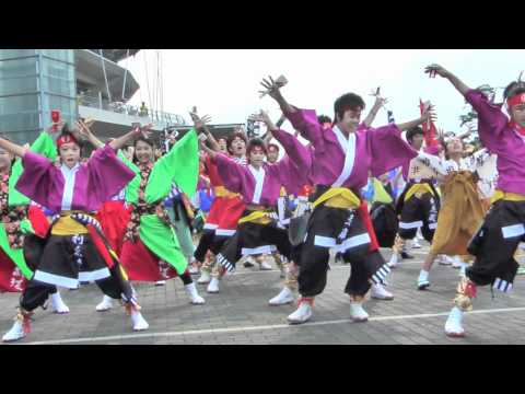 2011 ひまわりフェスティバル（総踊り）－ちばYOSAKOI村