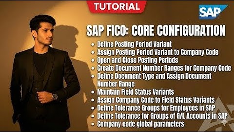 Posting Periods, Field Status & Document Types / SAP FICO Configuration
