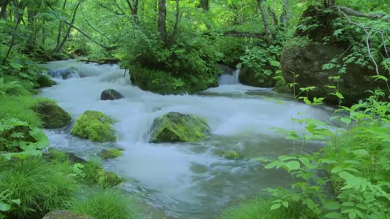 Karaoke Cô Bé Thượng Ngàn  Beat Chuẩn  Hoài Thanh