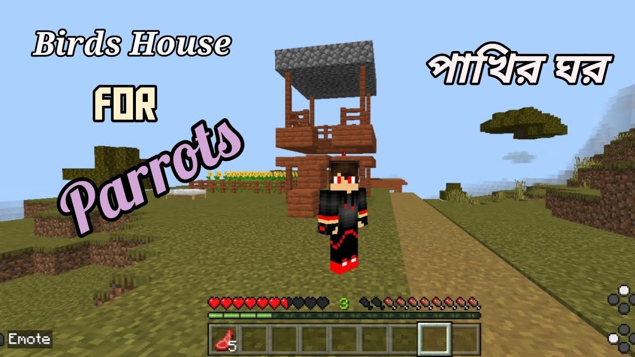 I make Birds House for my Parrots . Minecraft Bangla gameplay video .