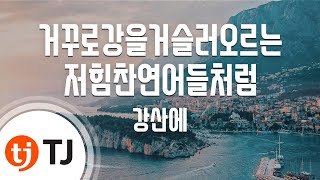 Miniatura de vídeo de "[TJ노래방] 거꾸로강을거슬러오르는저힘찬연어들처럼 - 강산에 / TJ Karaoke"