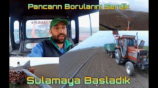 ŞEKER PANCARI NIN YAĞMURLAMASINI ÇALIŞTIRDIK