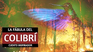 Fábula Del Colibrí - Cuento Inspirador Para Reflexionar - Leyenda Popular - Superación Personal