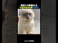 金額しか言わない猫TOP5 🐱💴