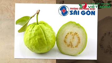 Bài thuốc Nam đơn giản chữa bệnh tiểu đường từ nước lá ổi