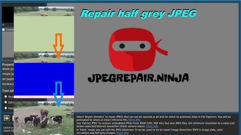 Repair half grey JPEG with multiple corrupted areas using JPEG Repair JAN 2020. (long + narrated)