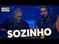 Sozinho | Luan Santana   Caetano Veloso | Canta, Luan | Música Multishow